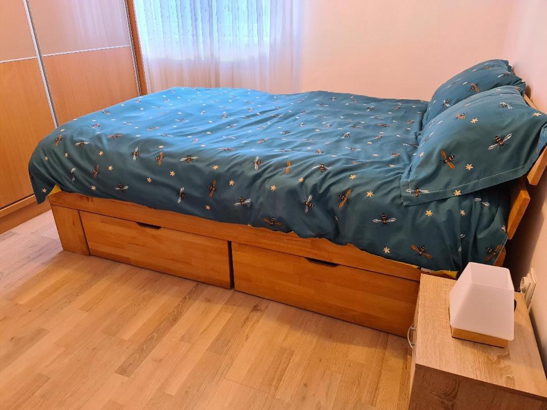 Central Cosy Apart Oradea Lägenhet Exteriör bild