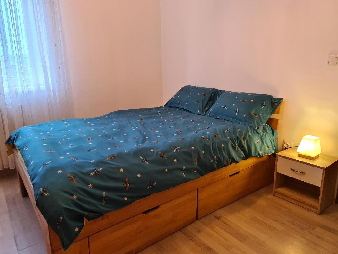 Central Cosy Apart Oradea Lägenhet Exteriör bild