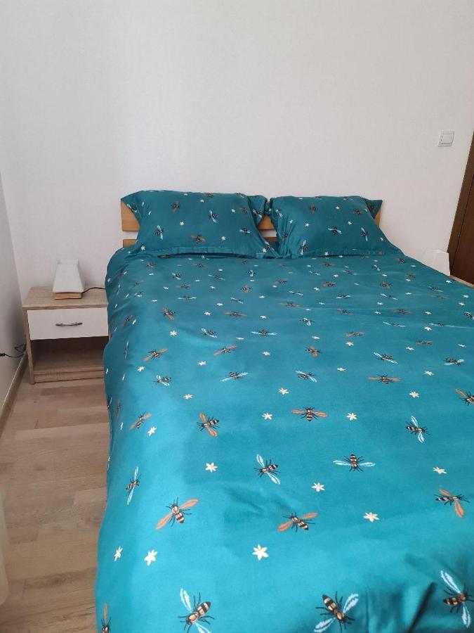 Central Cosy Apart Oradea Lägenhet Exteriör bild